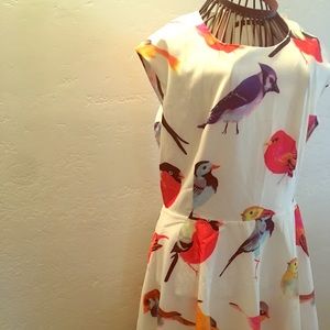 NWT Cute Skater Dress with Birds